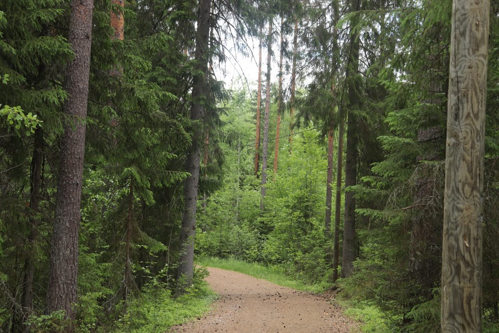 Kuntopolku