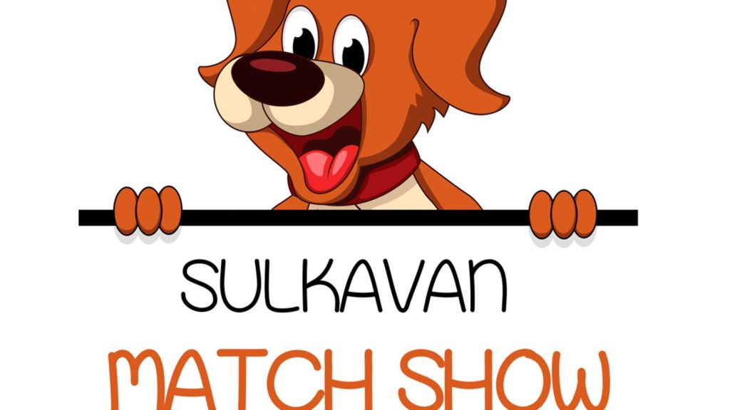 Match Show Sulkavalla